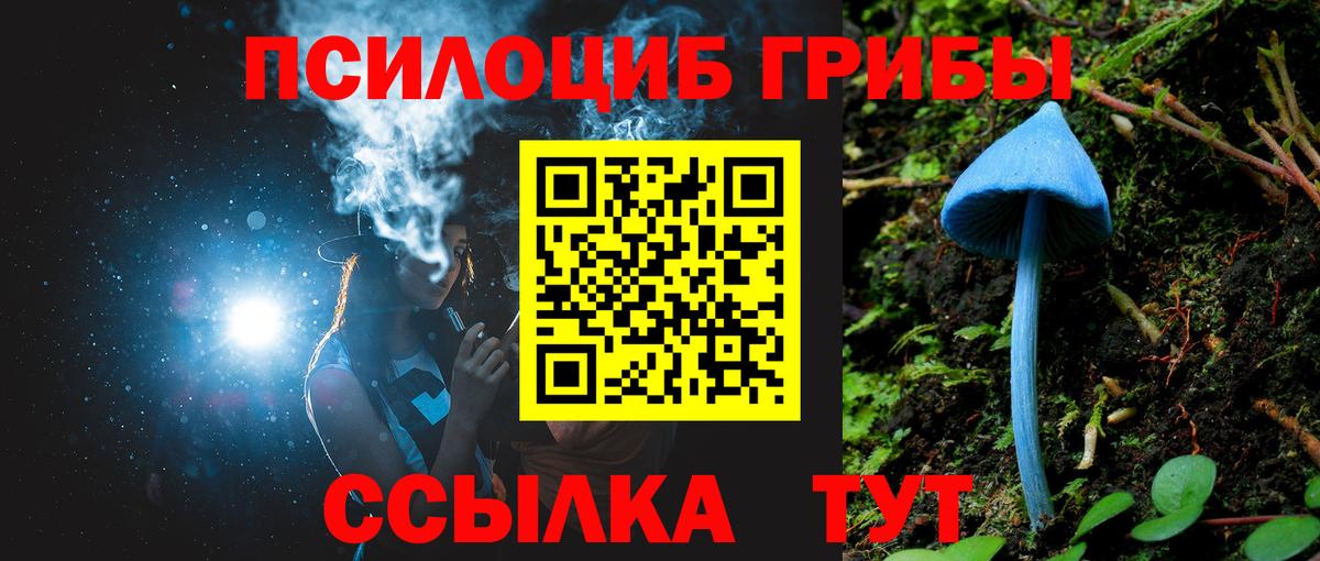 Чистополь  Галлюциногенные грибы Magic Shrooms  Вход с VPN 